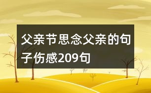 父親節(jié)思念父親的句子傷感209句