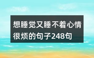 想睡覺(jué)又睡不著心情很煩的句子248句