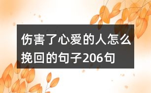 傷害了心愛的人怎么挽回的句子206句