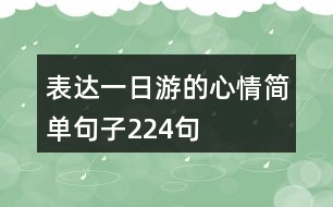 表達(dá)一日游的心情簡(jiǎn)單句子224句