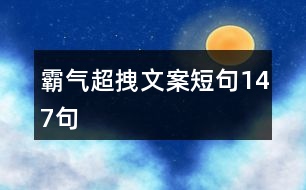 霸氣超拽文案短句147句