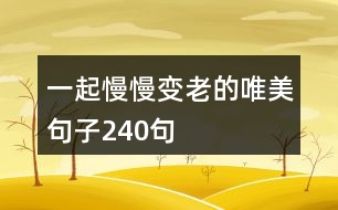 一起慢慢變老的唯美句子240句