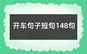 開車句子短句148句