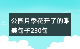 公園月季花開(kāi)了的唯美句子230句