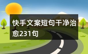 快手文案短句干凈治愈231句