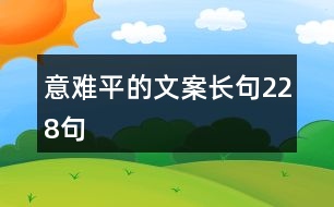 意難平的文案長(zhǎng)句228句