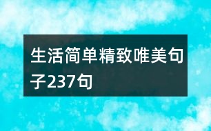 生活簡單精致唯美句子237句