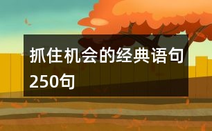 抓住機會的經(jīng)典語句250句