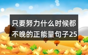 只要努力什么時(shí)候都不晚的正能量句子256句