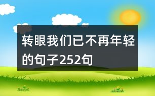 轉(zhuǎn)眼我們已不再年輕的句子252句