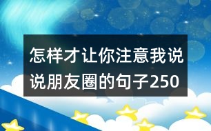 怎樣才讓你注意我說(shuō)說(shuō)朋友圈的句子250句