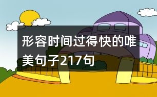 形容時(shí)間過得快的唯美句子217句