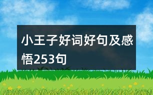 小王子好詞好句及感悟253句