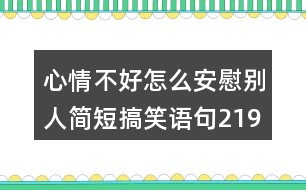 心情不好怎么安慰別人簡(jiǎn)短搞笑語(yǔ)句219句