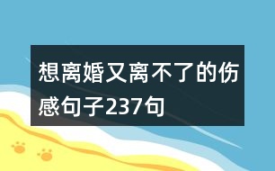 想離婚又離不了的傷感句子237句