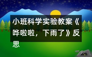 小班科學實驗教案《嘩啦啦，下雨了》反思