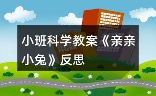 小班科學(xué)教案《親親小兔》反思