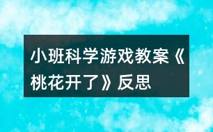 小班科學(xué)游戲教案《桃花開了》反思