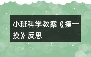 小班科學(xué)教案《摸一摸》反思