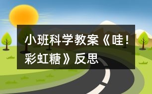 小班科學(xué)教案《哇！彩虹糖》反思