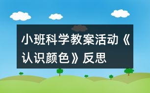 小班科學教案活動《認識顏色》反思