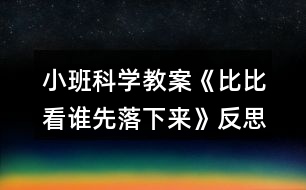 小班科學(xué)教案《比比看誰(shuí)先落下來(lái)》反思