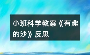 小班科學教案《有趣的沙》反思