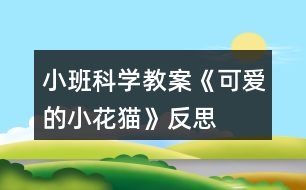 小班科學(xué)教案《可愛(ài)的小花貓》反思