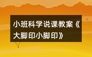 小班科學(xué)說(shuō)課教案《大腳印、小腳印》