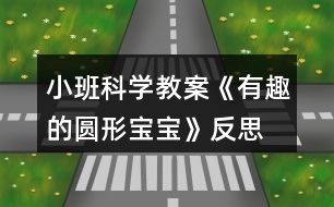 小班科學教案《有趣的圓形寶寶》反思