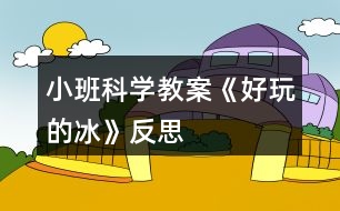 小班科學教案《好玩的冰》反思