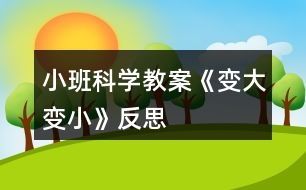 小班科學教案《變大變小》反思