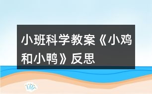 小班科學教案《小雞和小鴨》反思