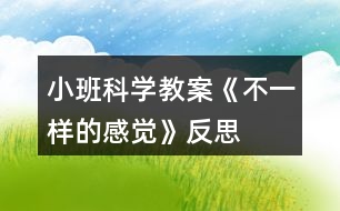 小班科學(xué)教案《不一樣的感覺》反思