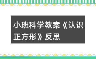 小班科學(xué)教案《認(rèn)識正方形》反思