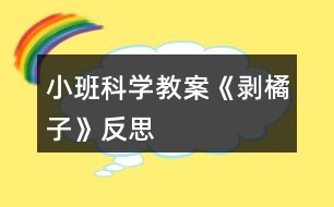 小班科學(xué)教案《剝橘子》反思