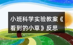 小班科學(xué)實(shí)驗(yàn)教案《看到的小草》反思