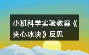 小班科學(xué)實(shí)驗(yàn)教案《夾心冰塊》反思