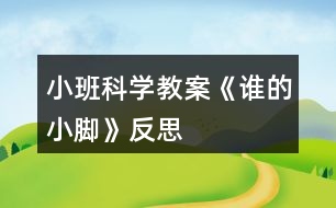 小班科學(xué)教案《誰(shuí)的小腳》反思