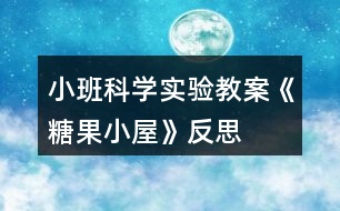 小班科學(xué)實驗教案《糖果小屋》反思