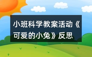 小班科學(xué)教案活動《可愛的小兔》反思