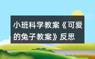 小班科學(xué)教案《可愛(ài)的兔子教案》反思