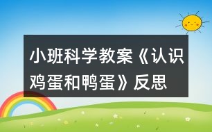 小班科學教案《認識雞蛋和鴨蛋》反思