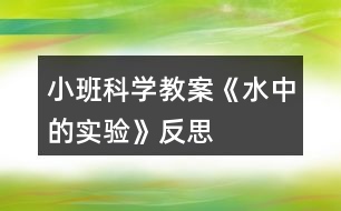 小班科學(xué)教案《水中的實驗》反思