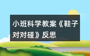 小班科學(xué)教案《鞋子對對碰》反思