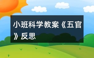 小班科學教案《五官》反思