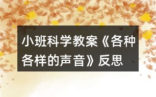 小班科學教案《各種各樣的聲音》反思