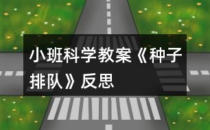 小班科學(xué)教案《種子排隊(duì)》反思