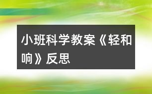 小班科學教案《輕和響》反思