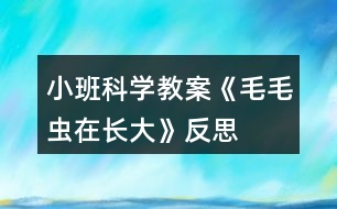 小班科學(xué)教案《毛毛蟲(chóng)在長(zhǎng)大》反思